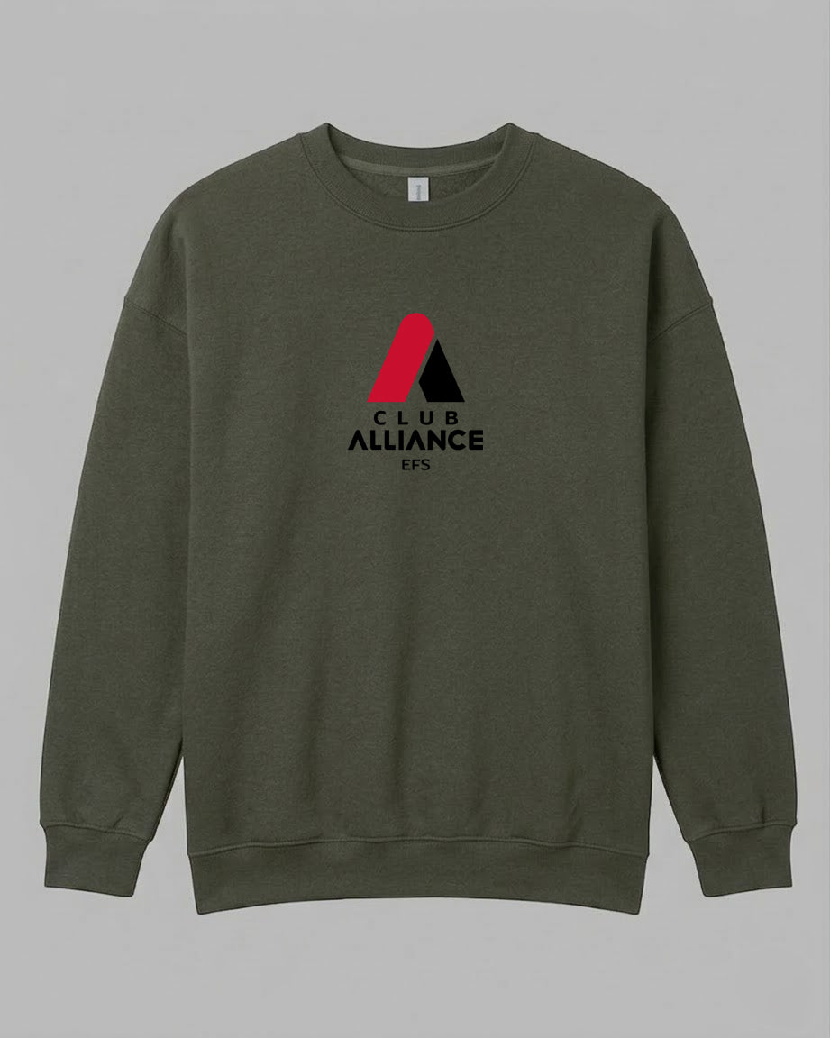 Pull American Apparel - Club Alliance EFS